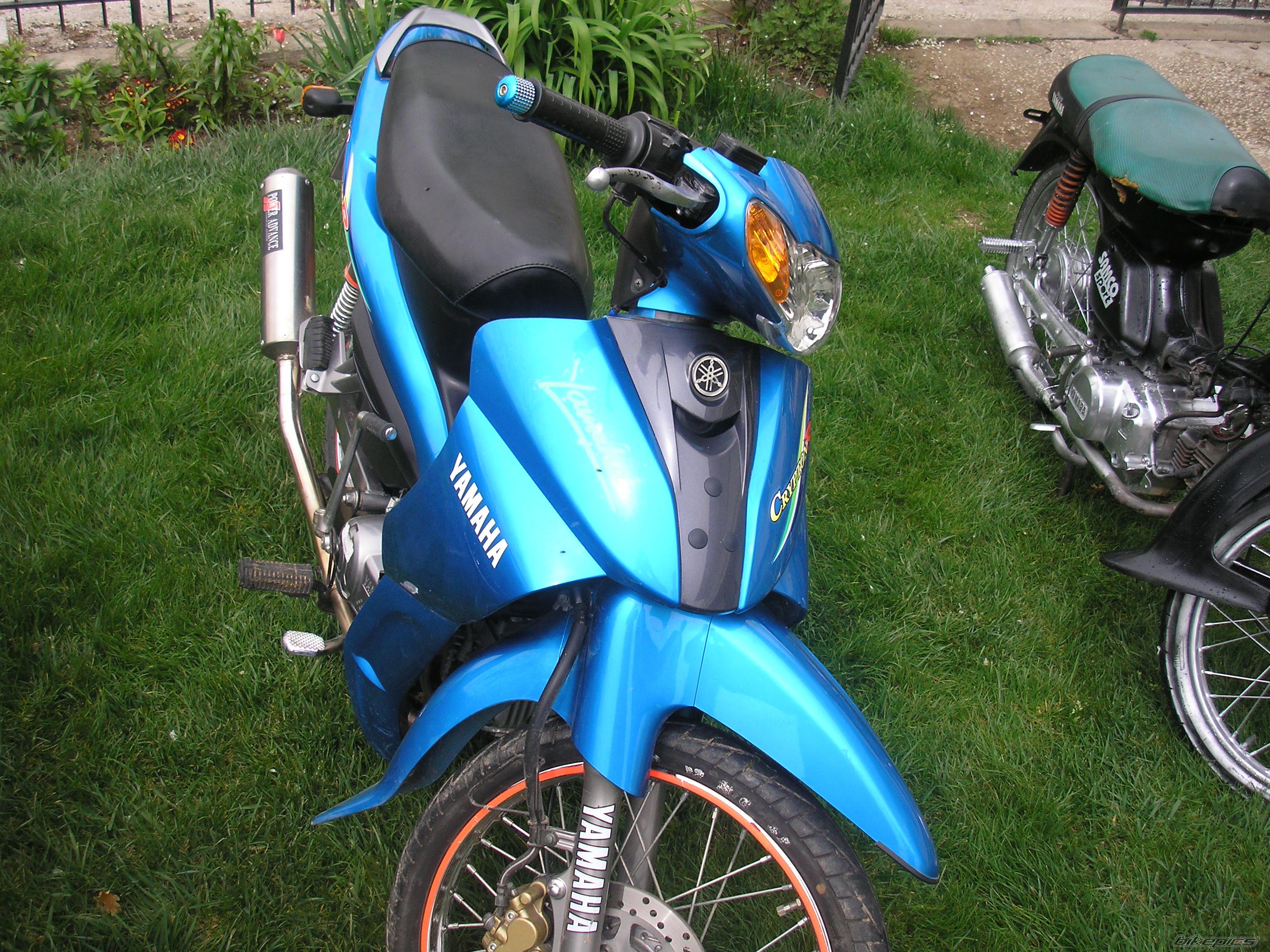 Photo 1251035