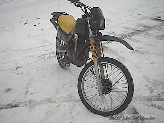 Photo 125242