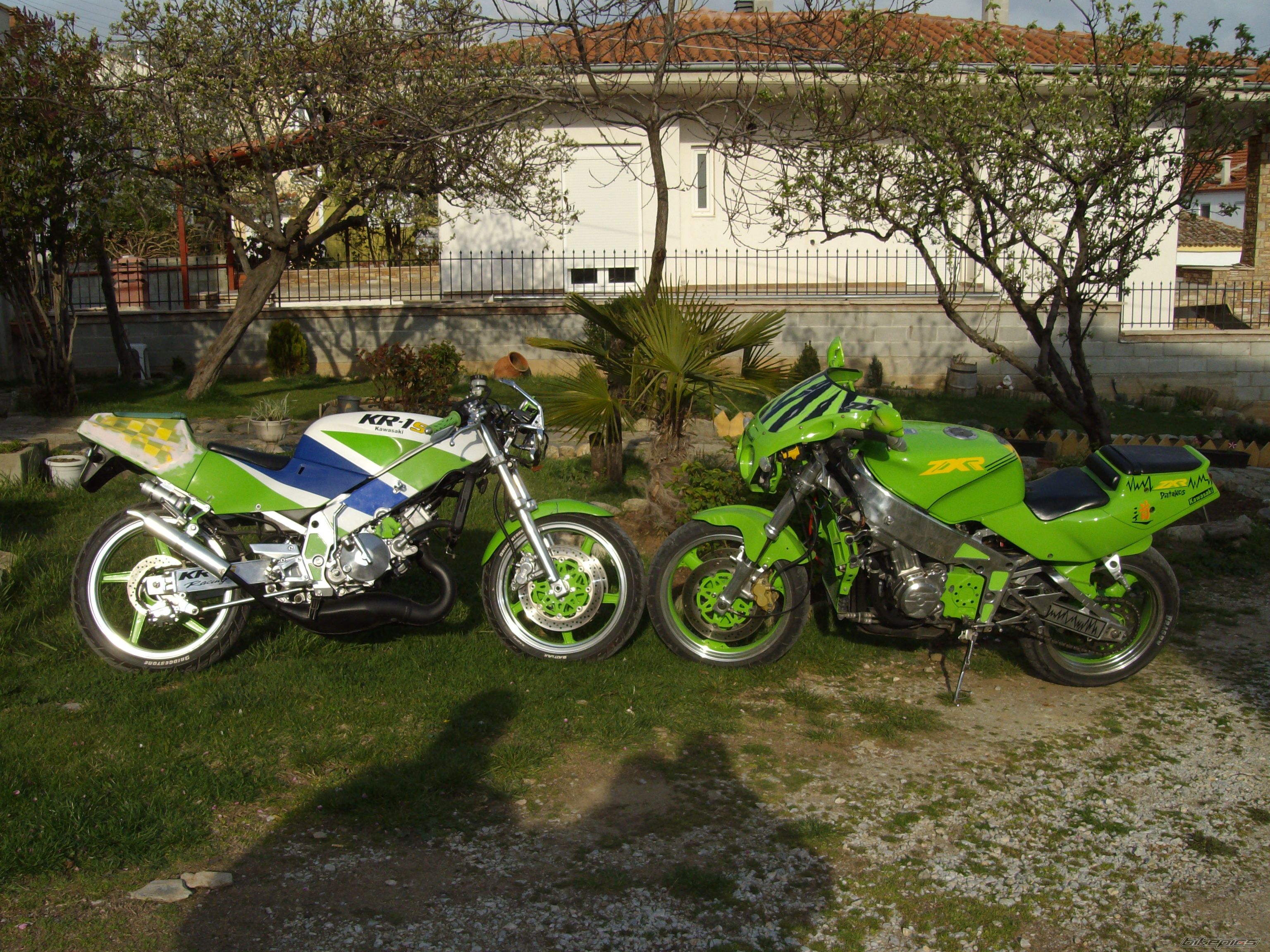 Photo 1252448