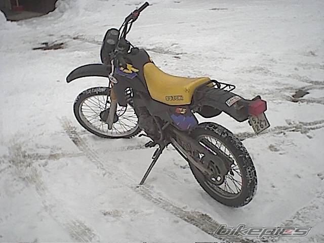 Photo 125245