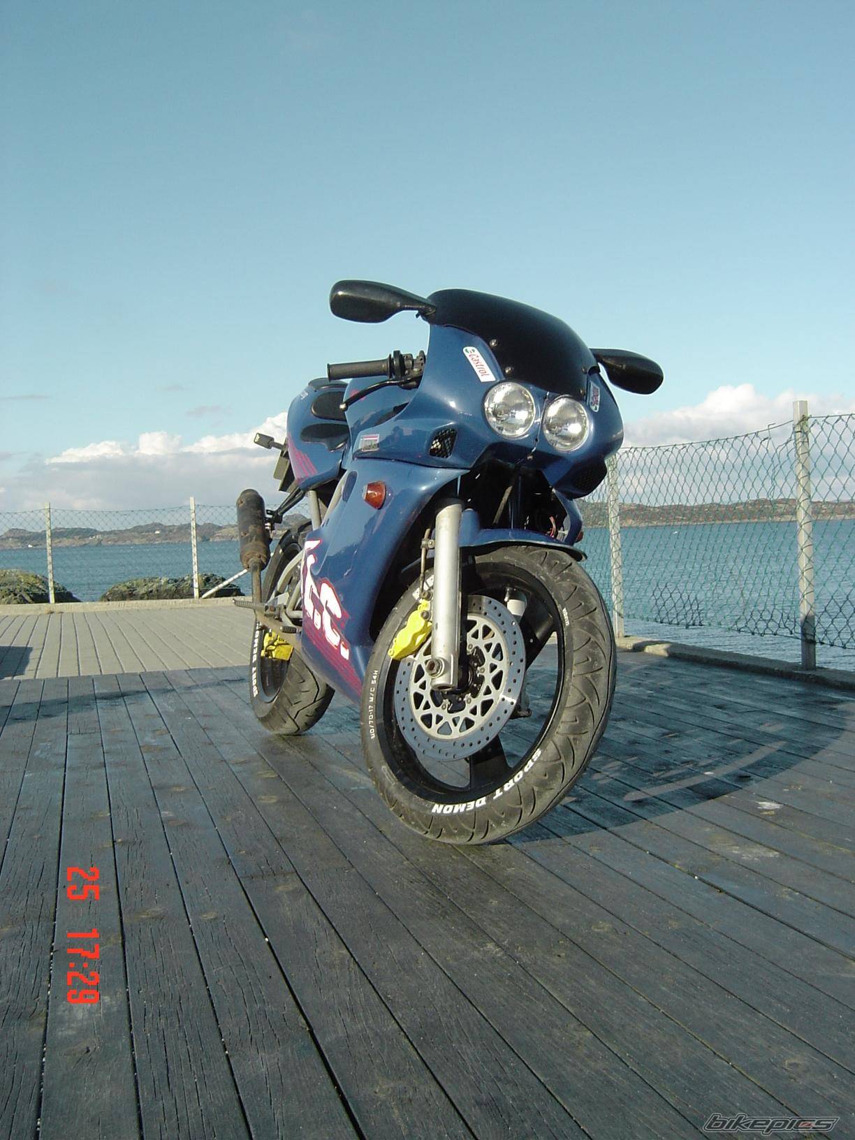Photo 125349