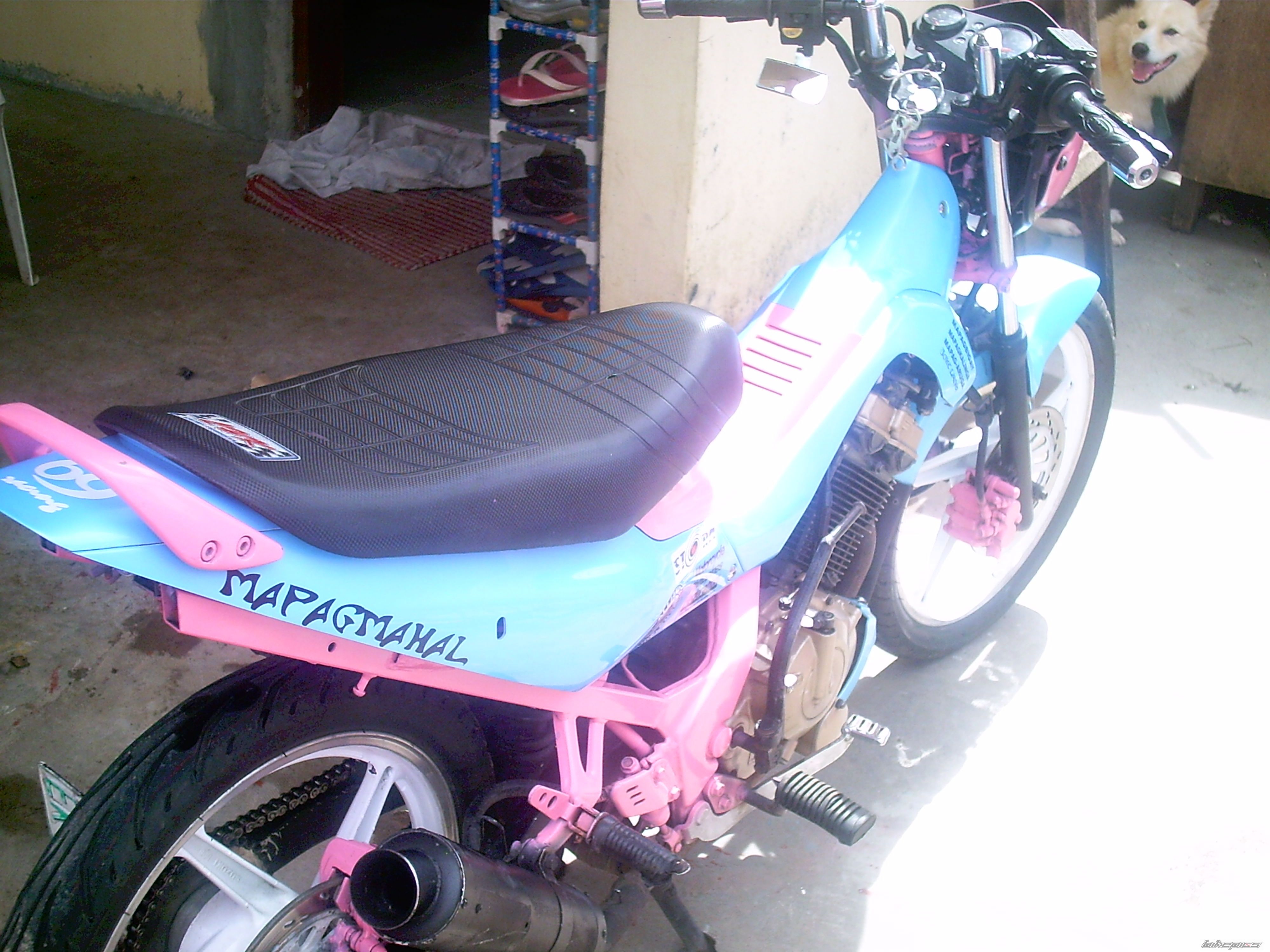 Photo 1254183