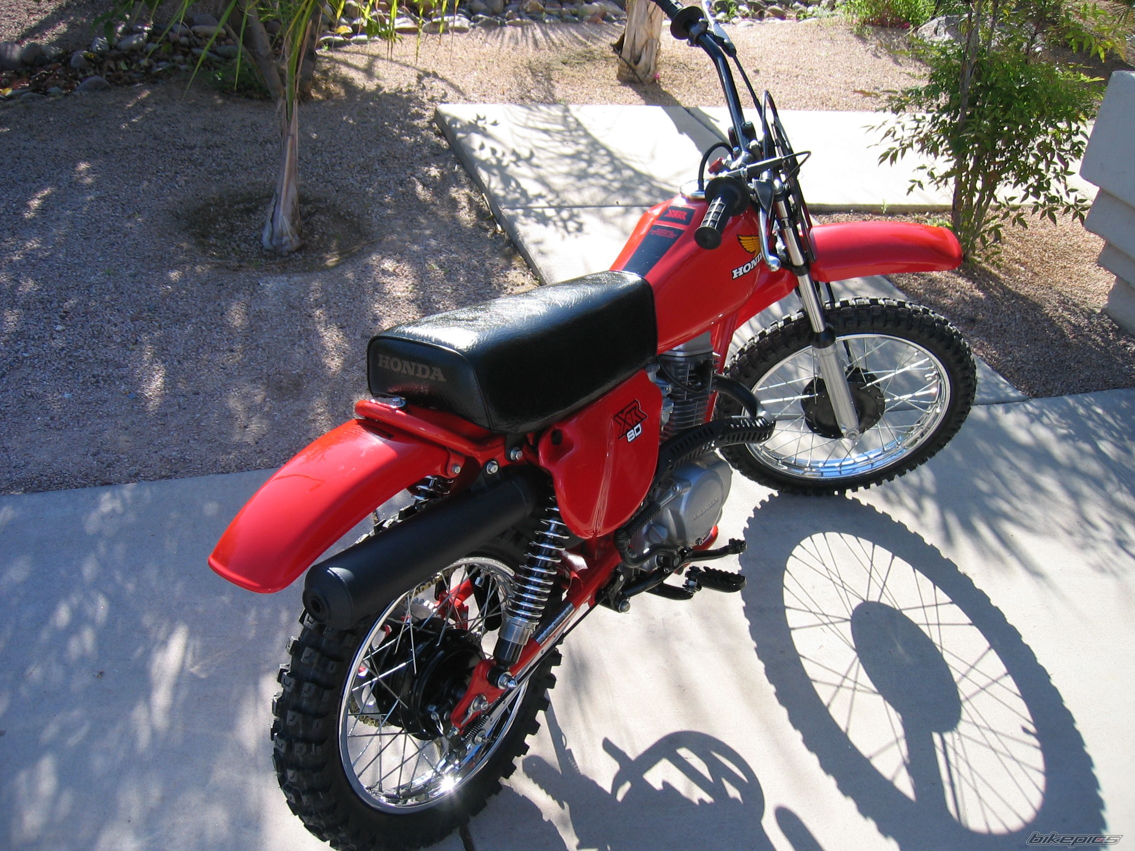 Photo 1256494