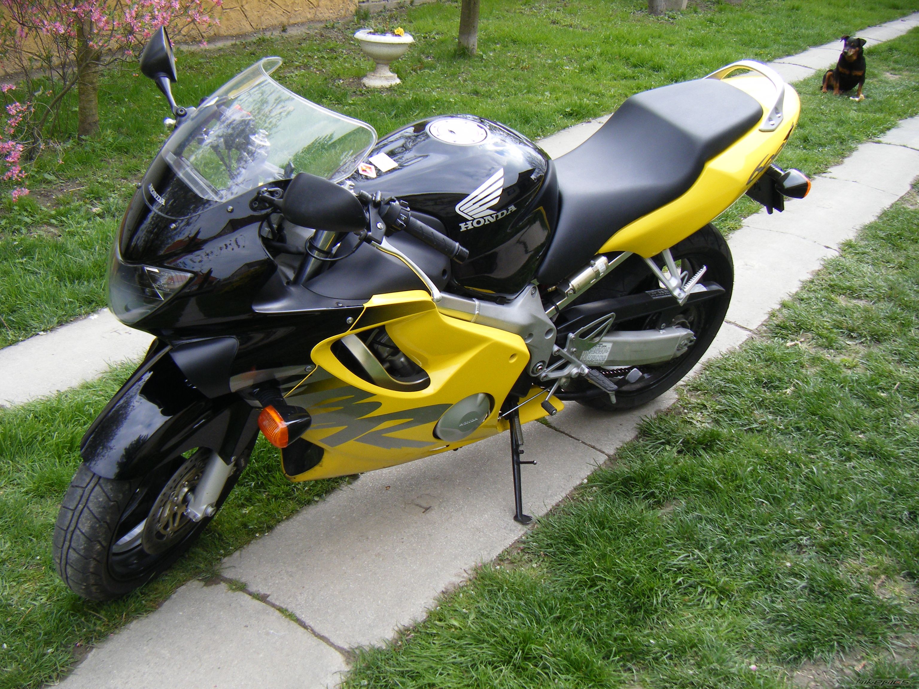 Bike Photo 1257700