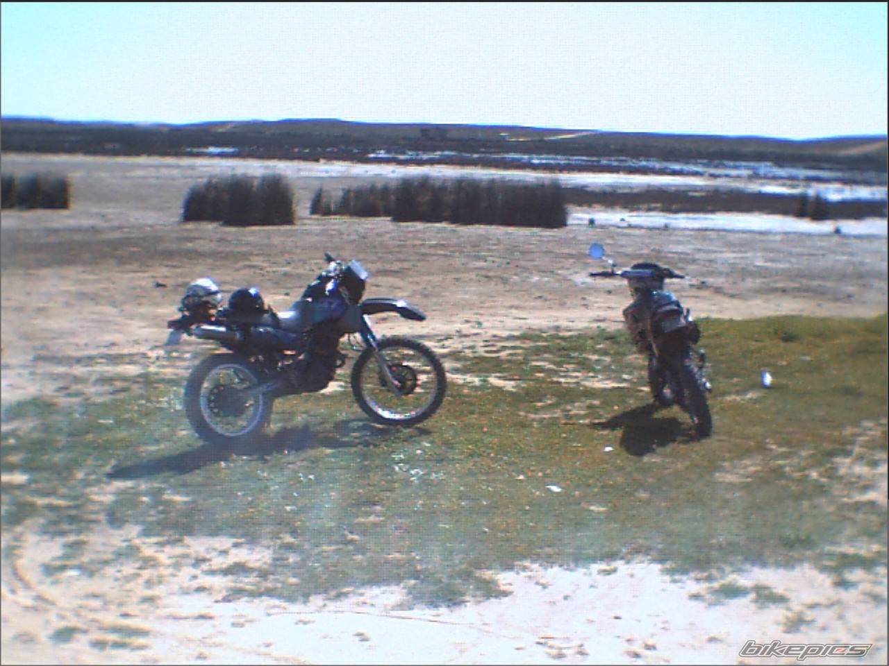 Photo 125863