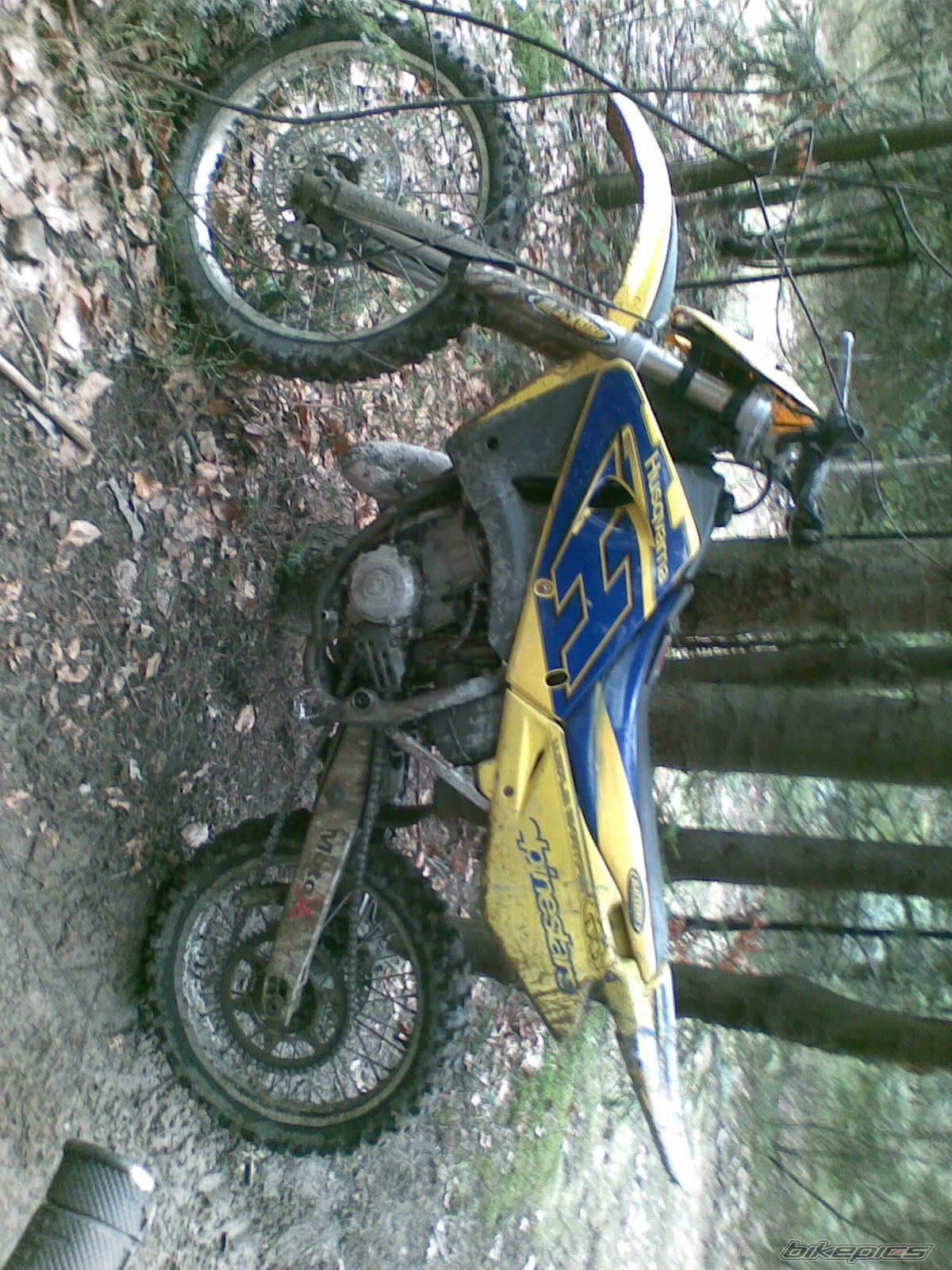 Photo 1261760
