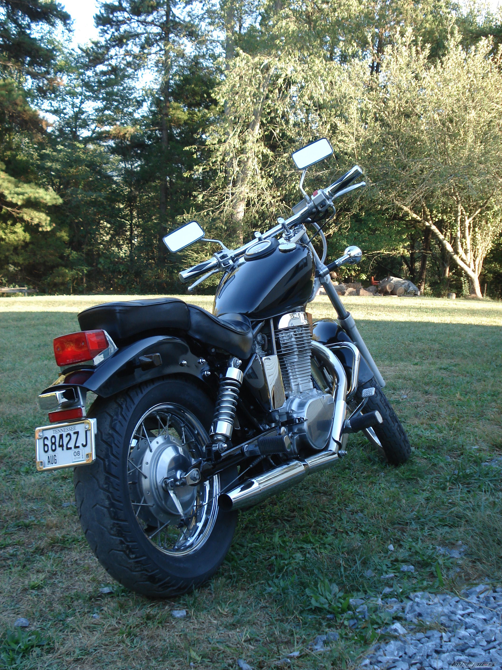 Photo 1262993