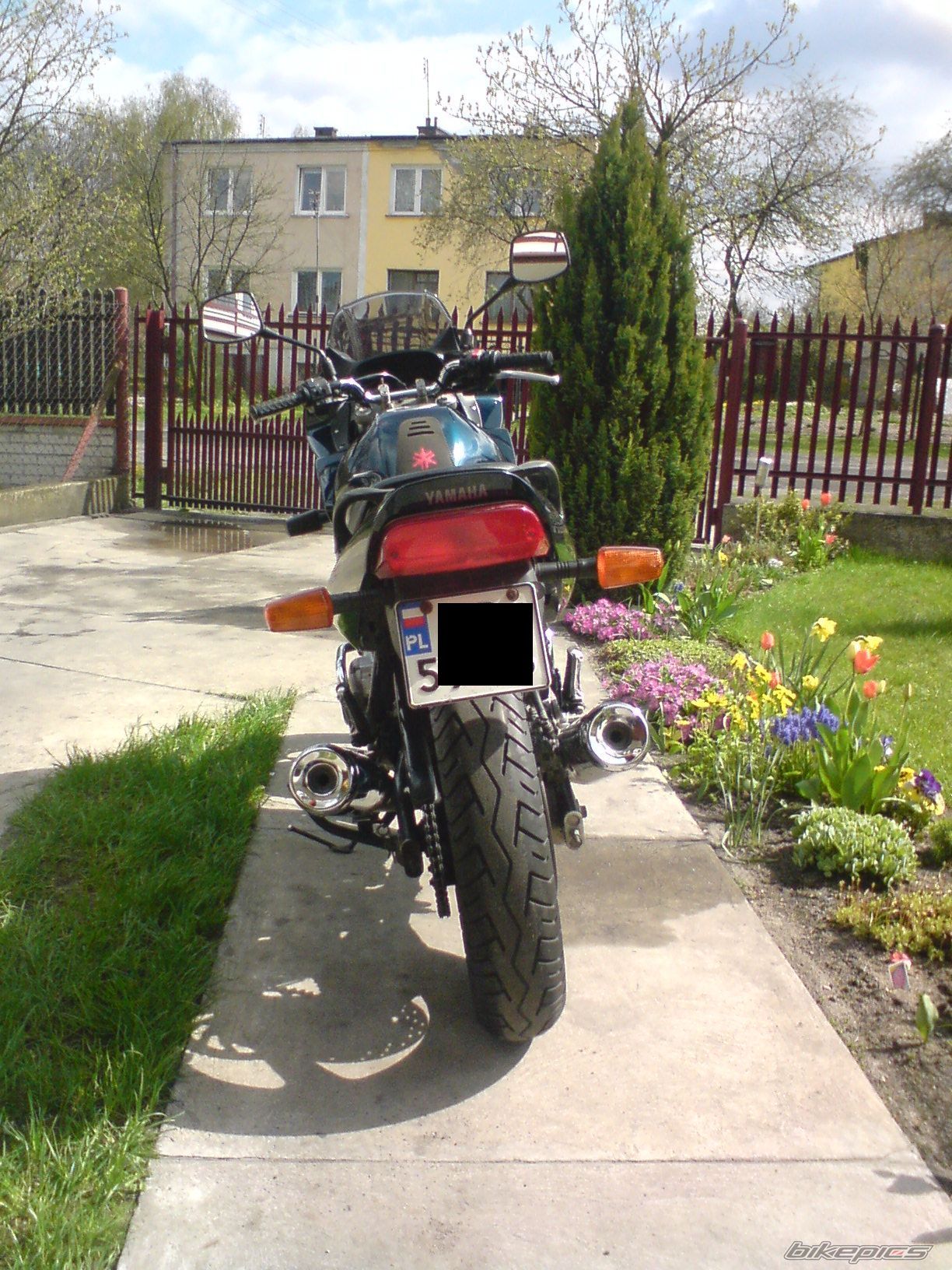 Photo 1263287