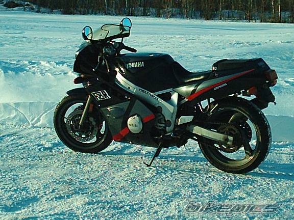 Photo 126439