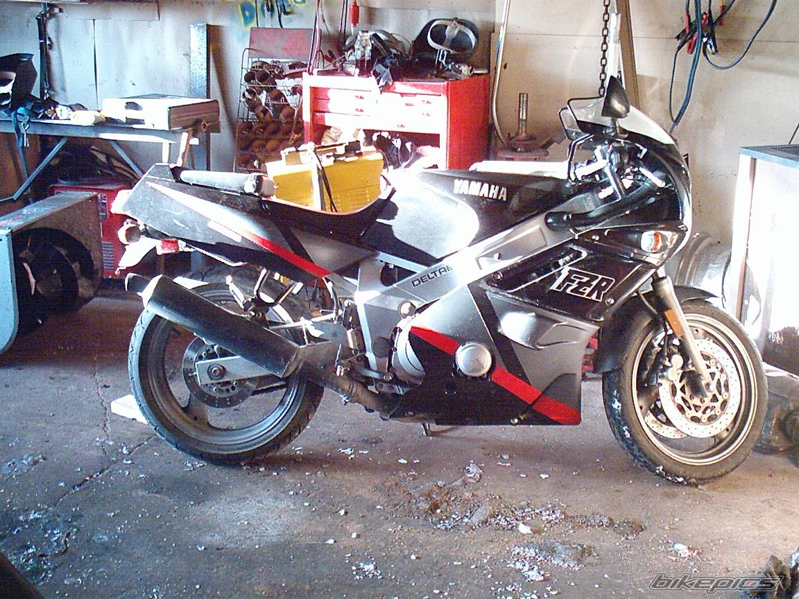 Photo 126440
