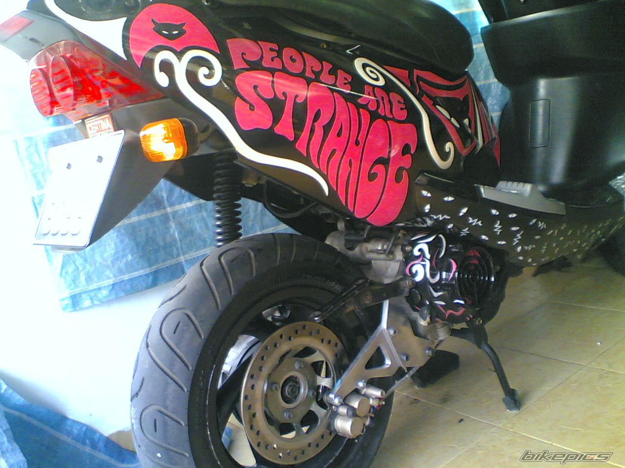 Photo 1264460