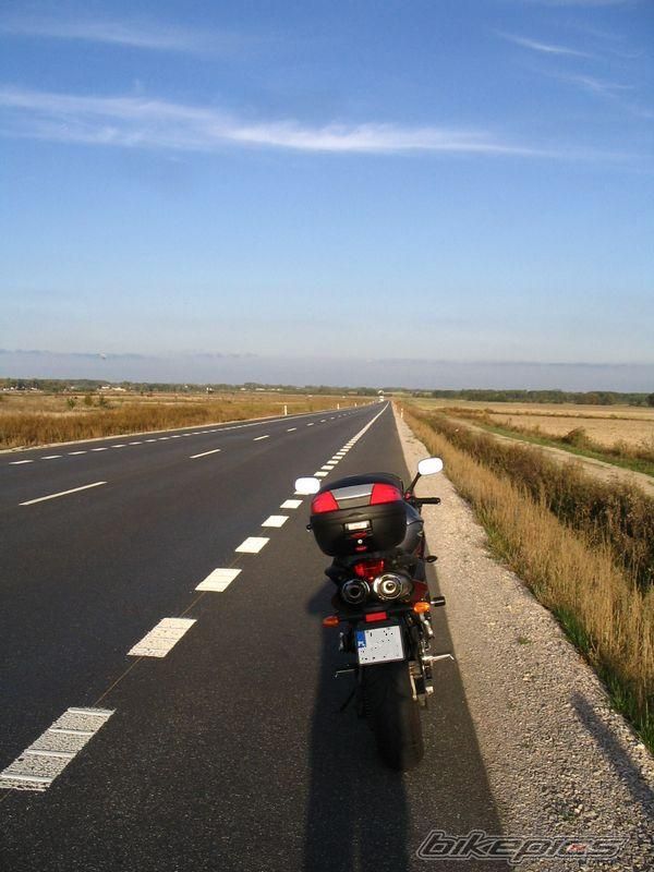 Photo 1264716