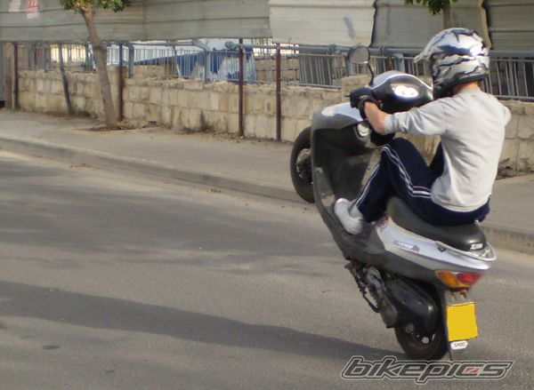Photo 1265368