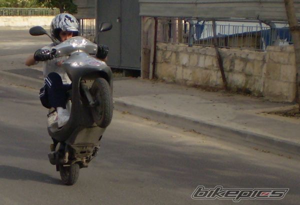 Photo 1265369