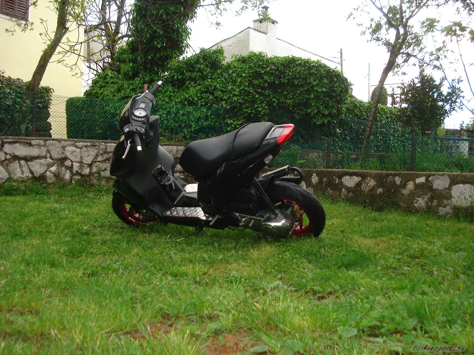 Photo 1265832