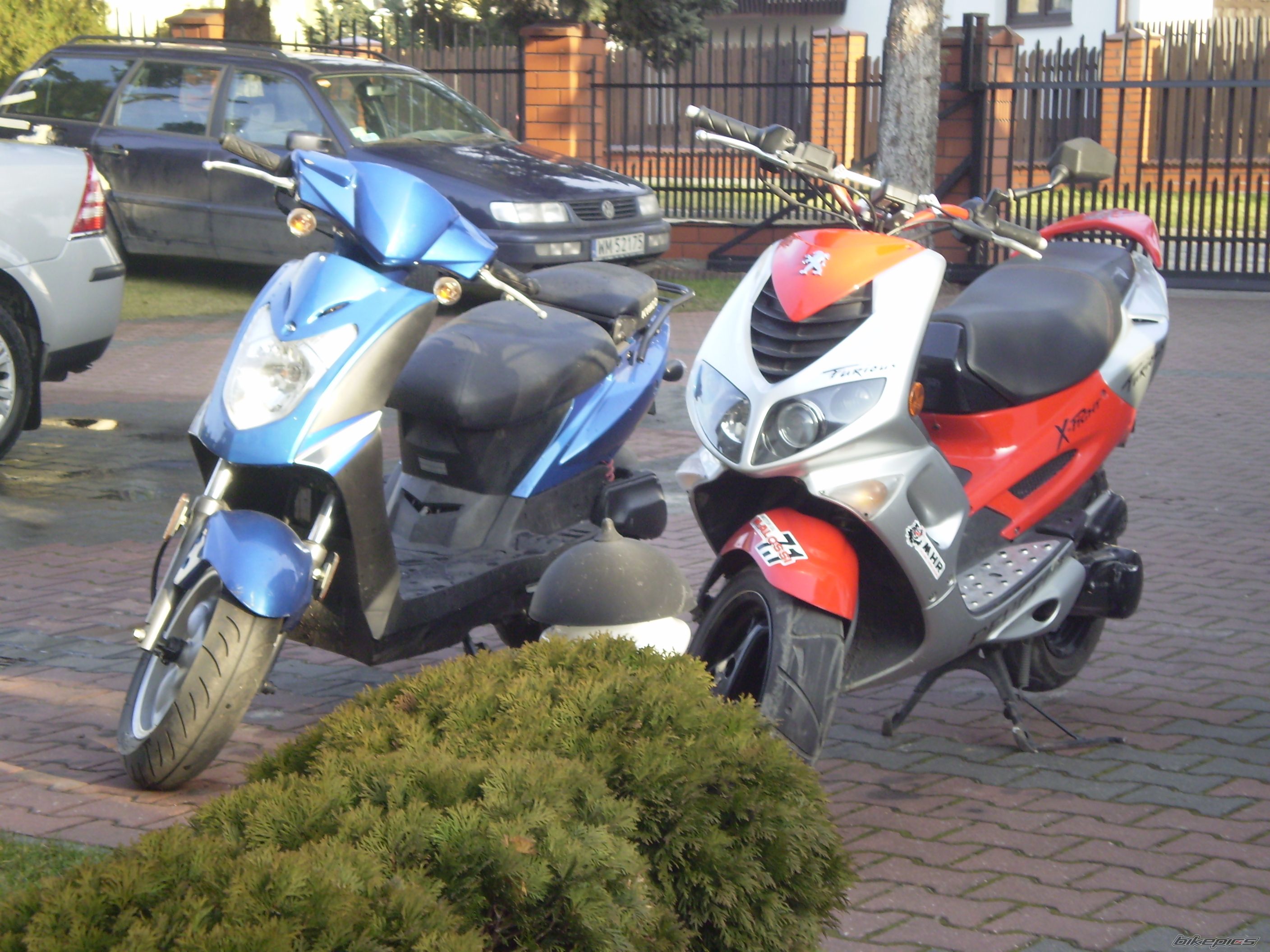 Photo 1266477