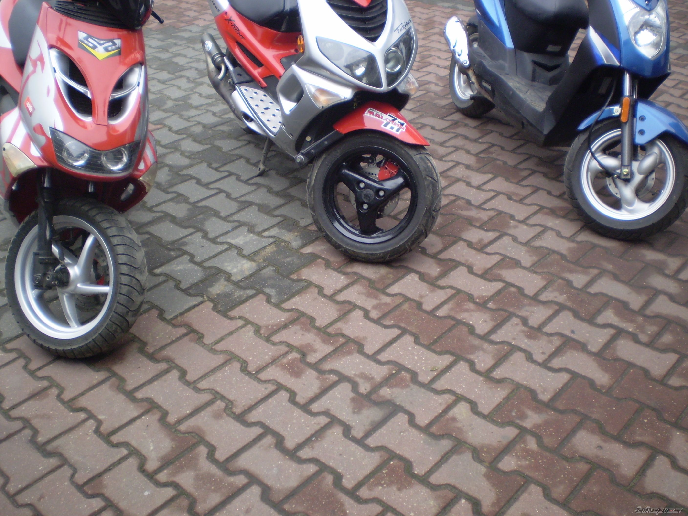 Photo 1266483