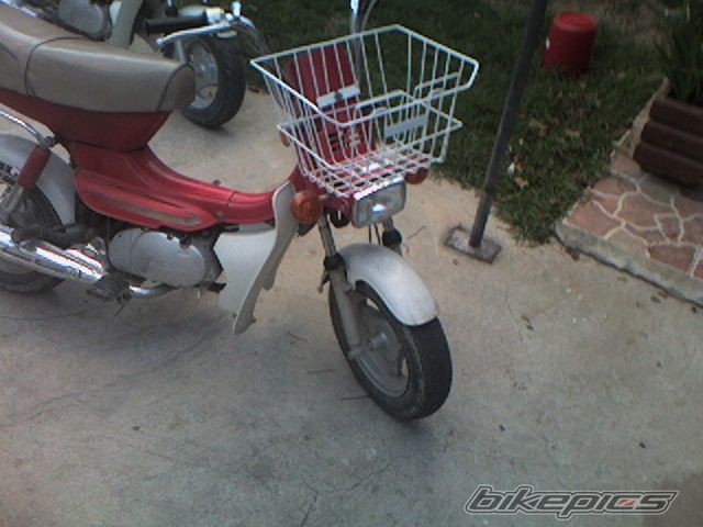 Photo 1266486
