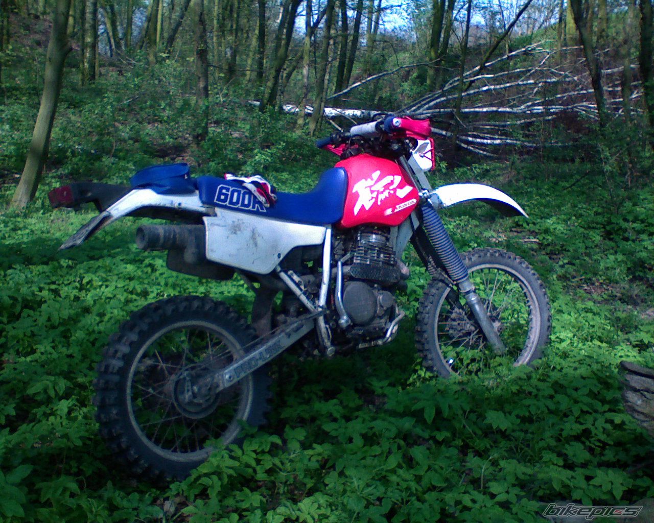 Bike Photo 1268852
