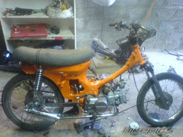 Photo 1268869