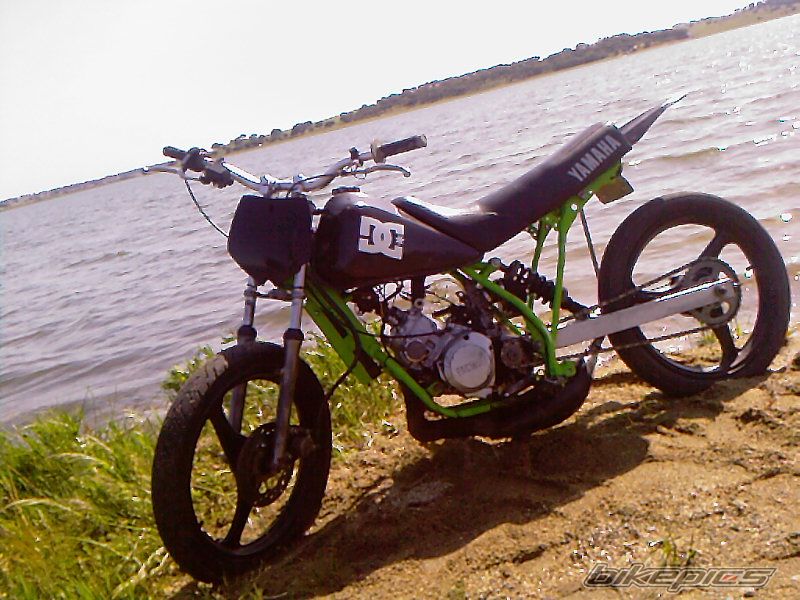 Photo 1269230