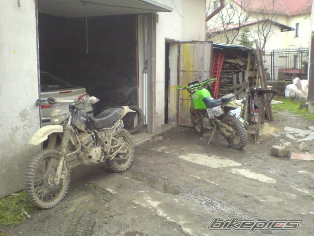 Photo 1269444