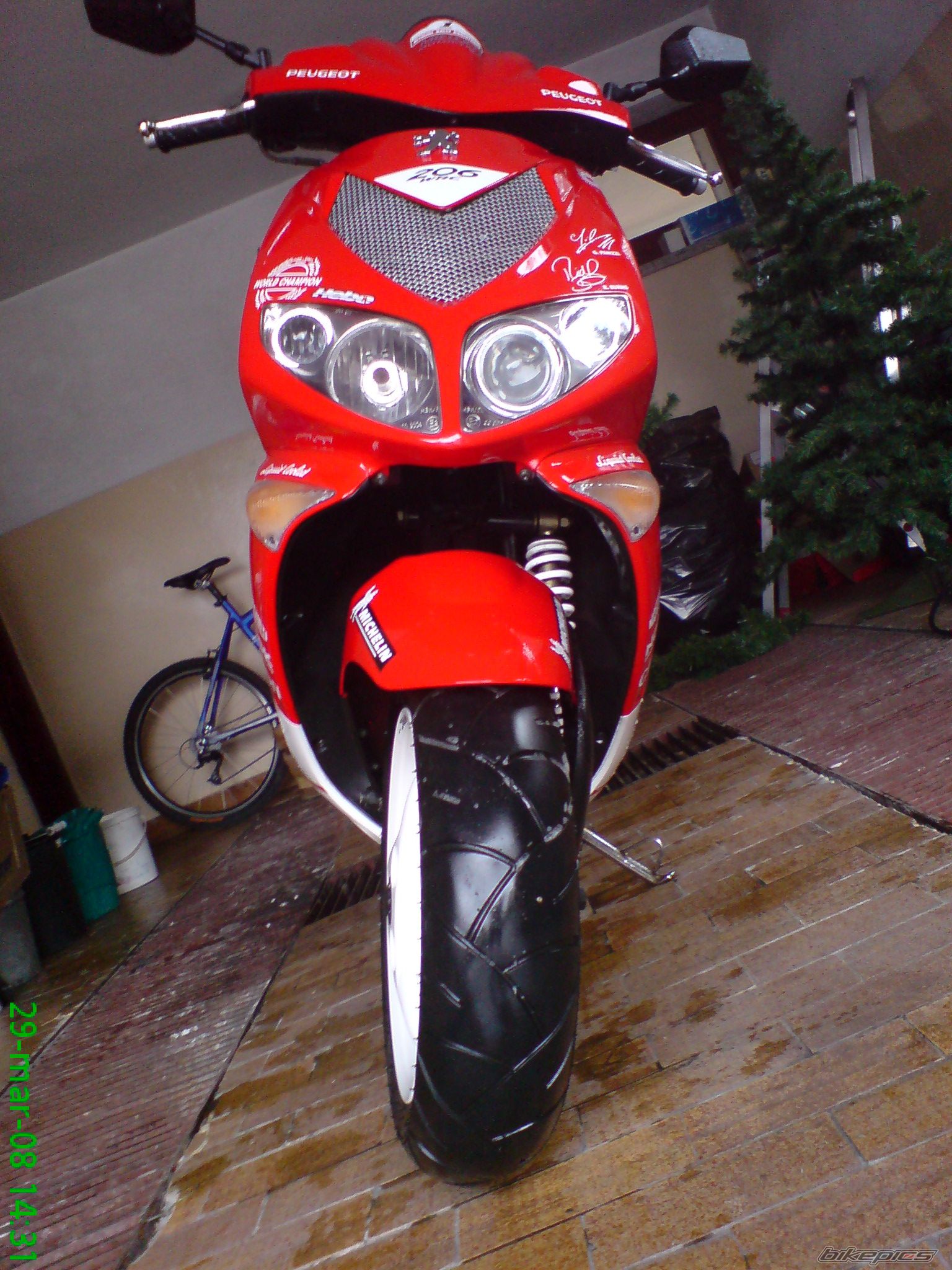 Photo 1272159