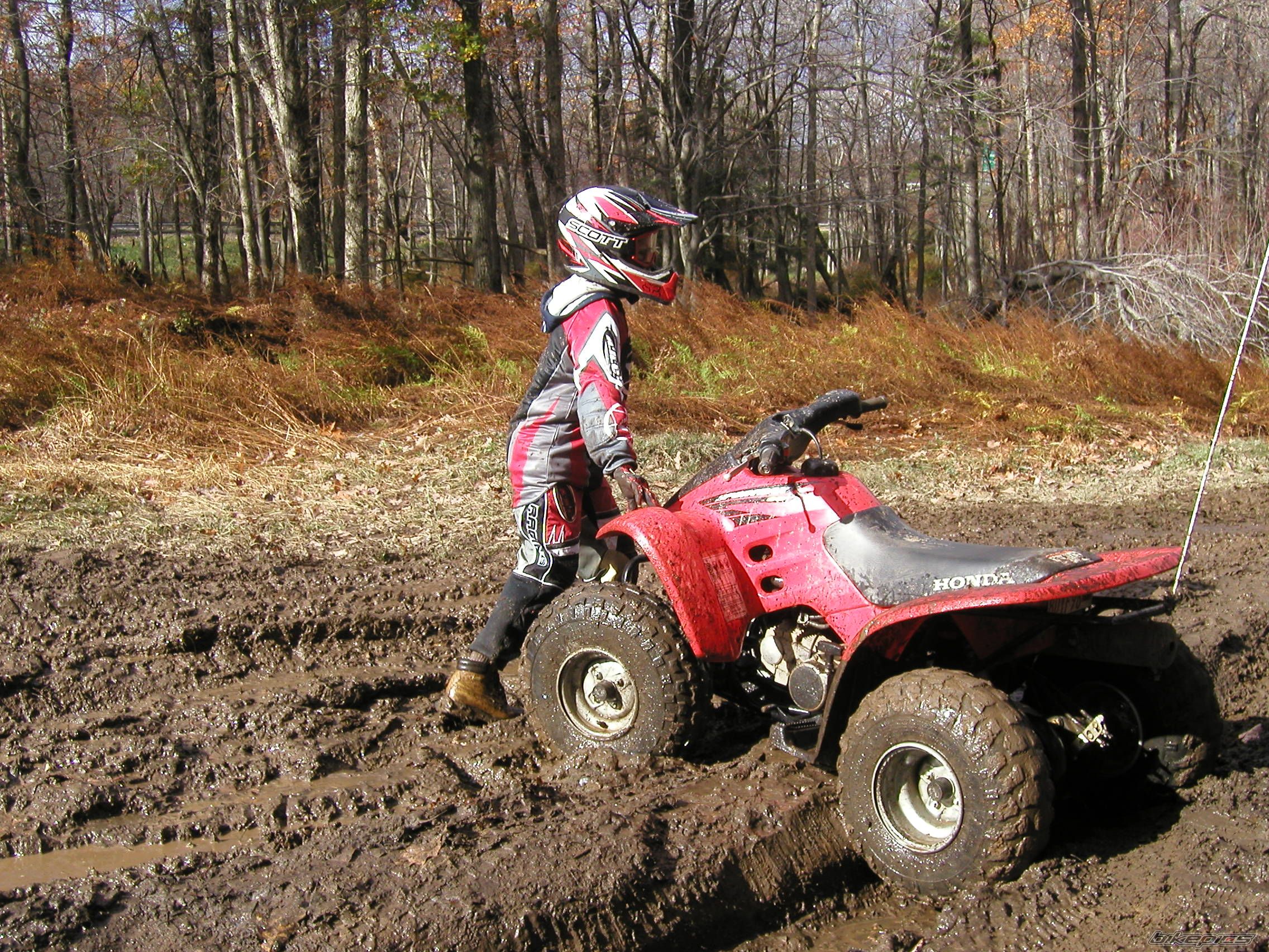 Photo 1274182
