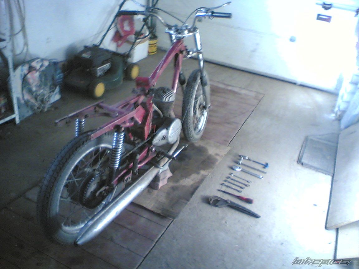 Photo 1274265