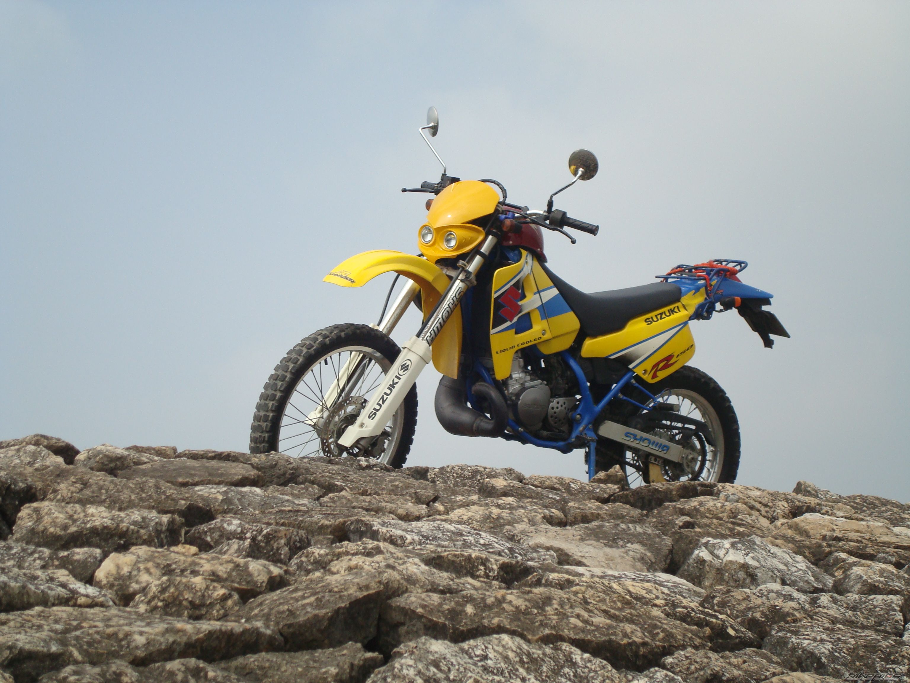 Photo 1274662
