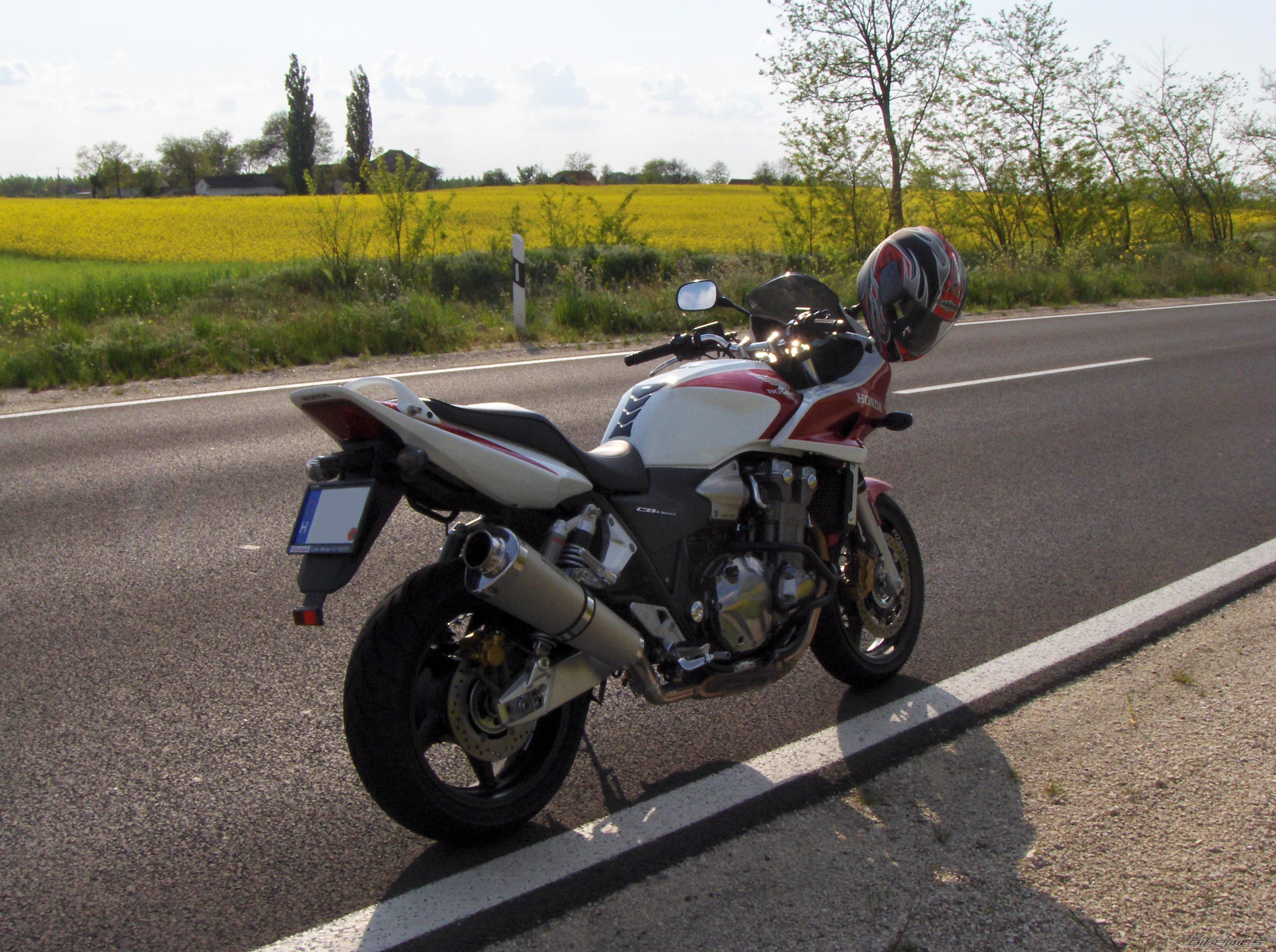 Photo 1274899