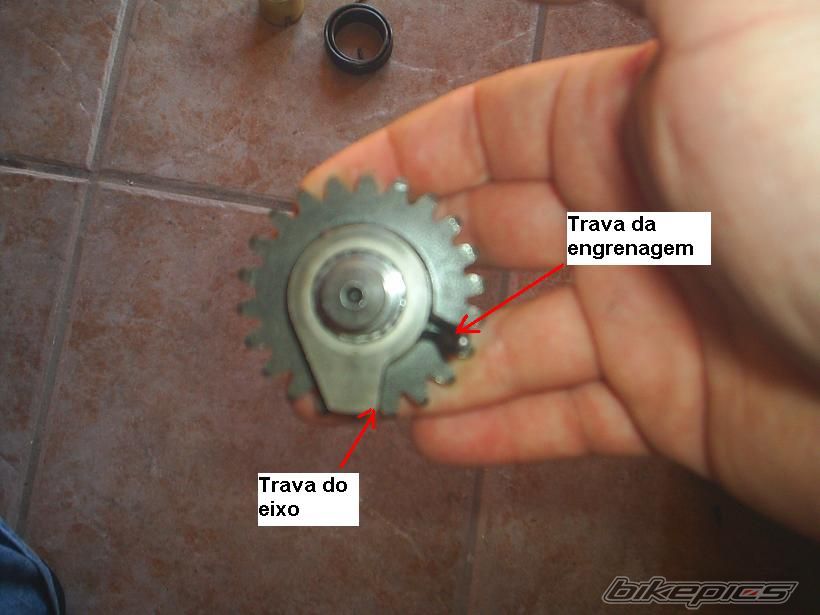Photo 1275279