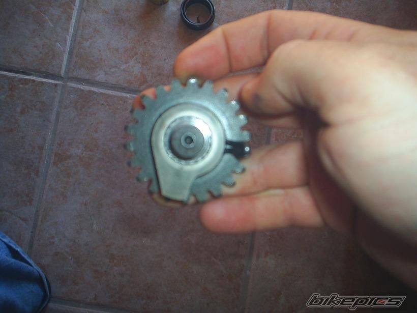 Photo 1275342