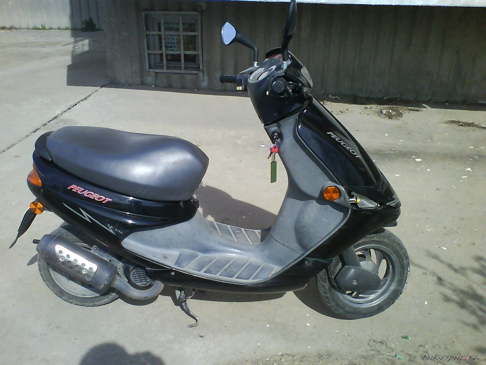 Photo 1275597