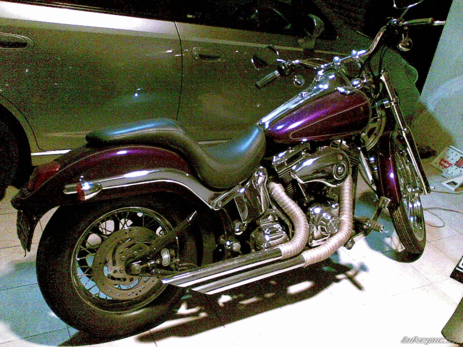 Photo 1276794