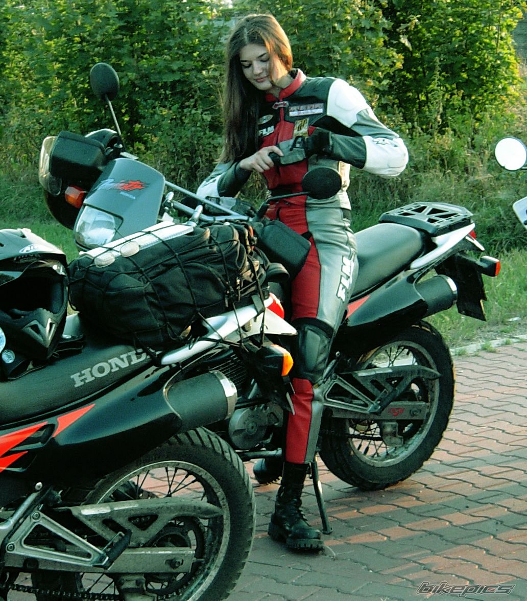 Photo 1278329