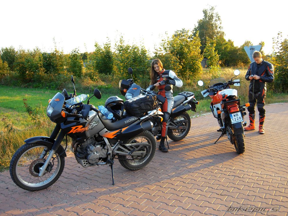Photo 1278330