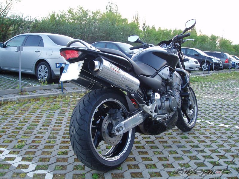 Photo 1278388