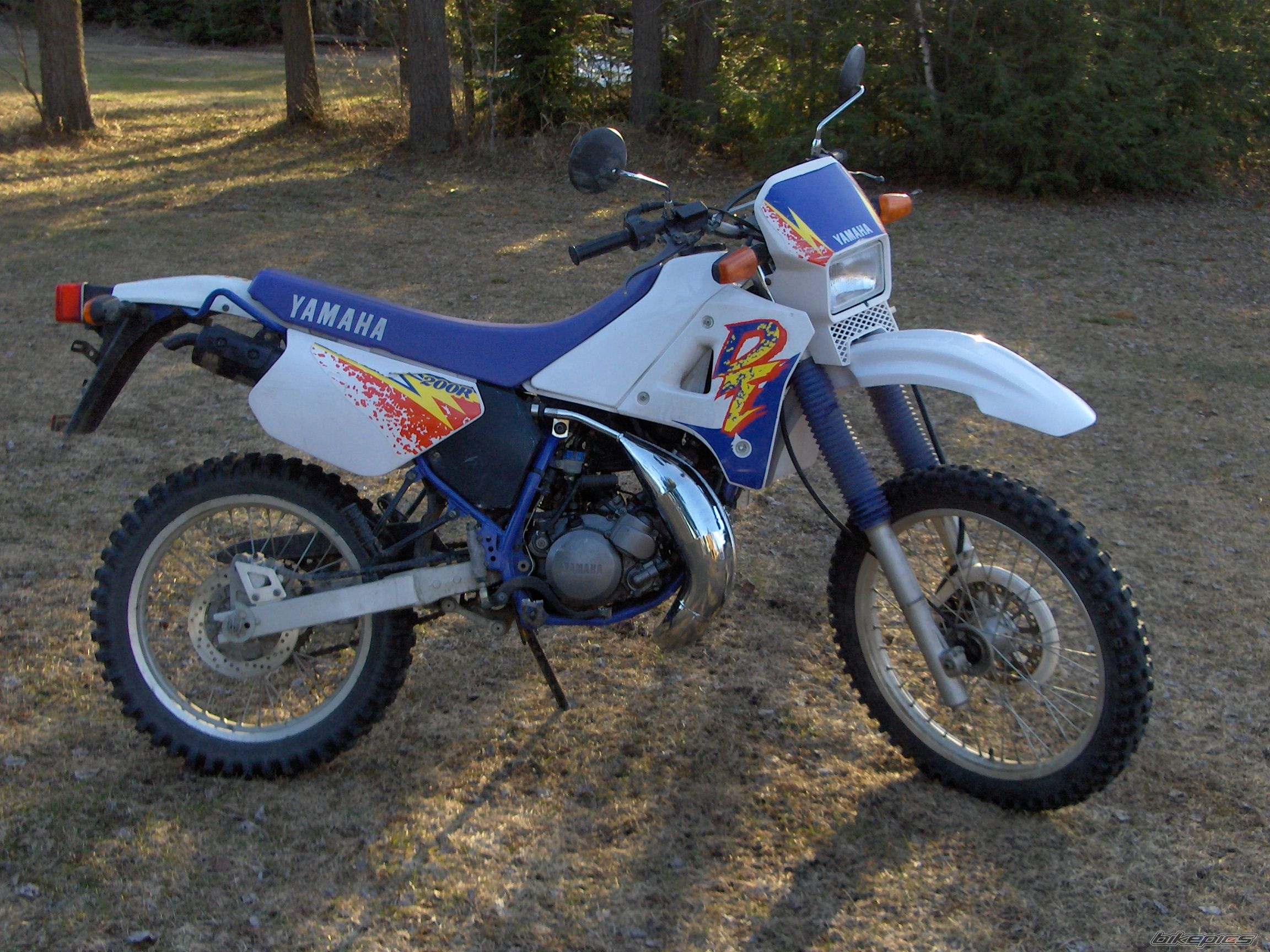 Photo 1278742