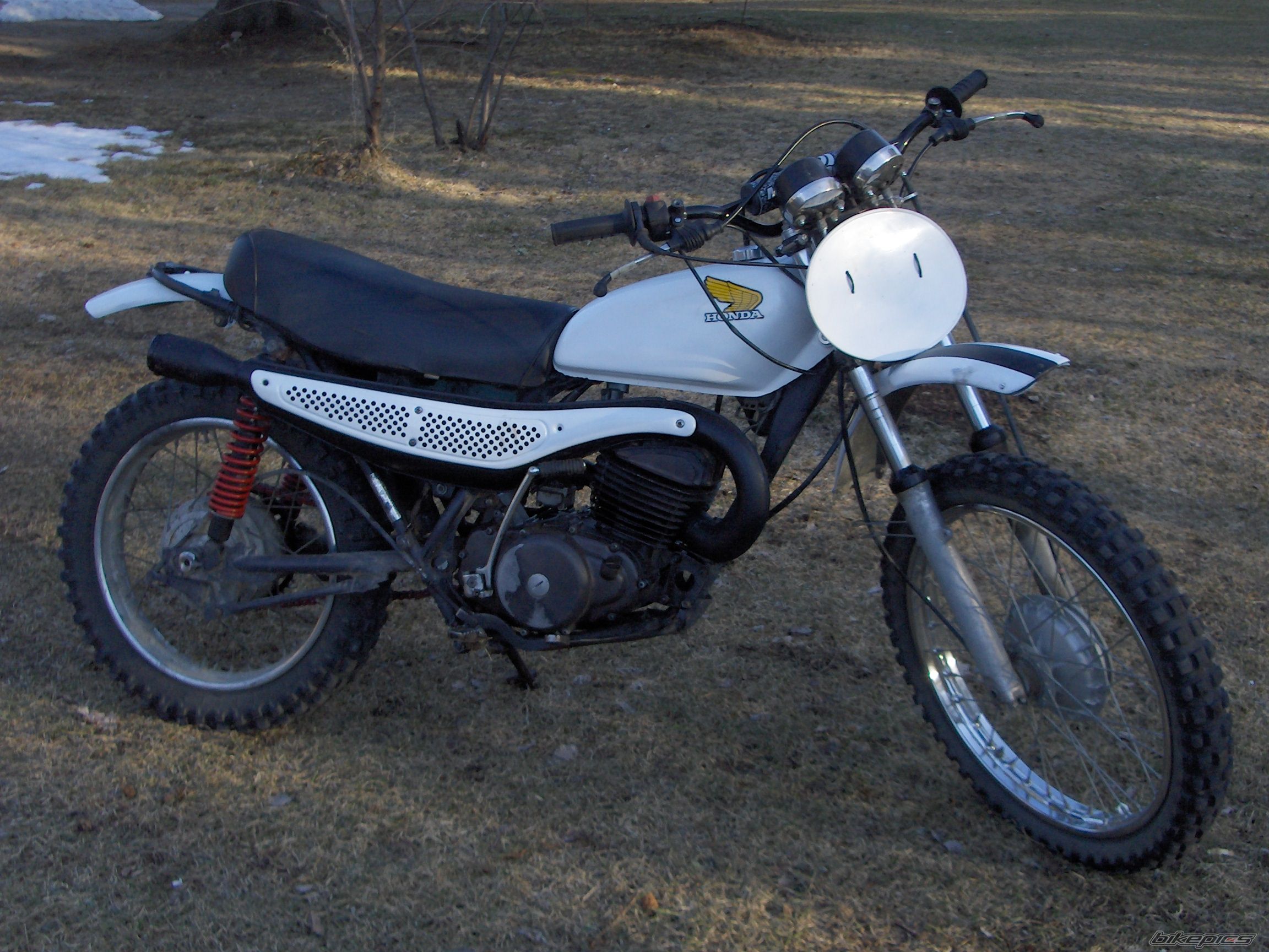 Photo 1278745