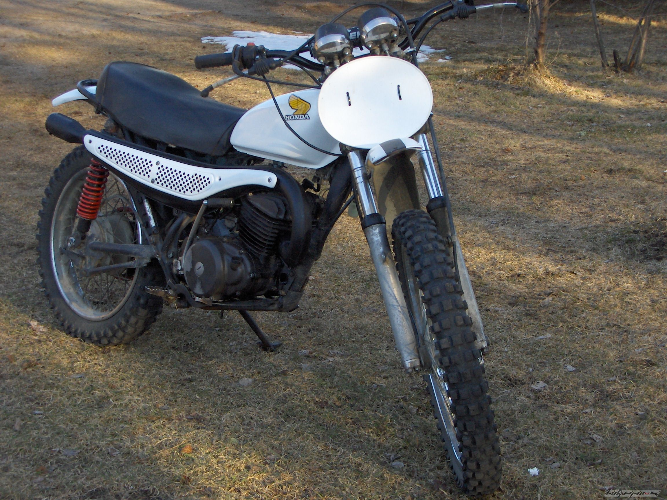 Photo 1278748