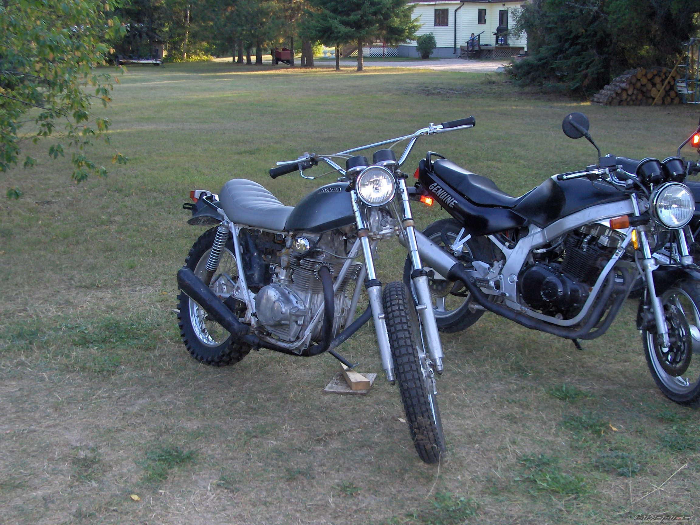 Photo 1278752