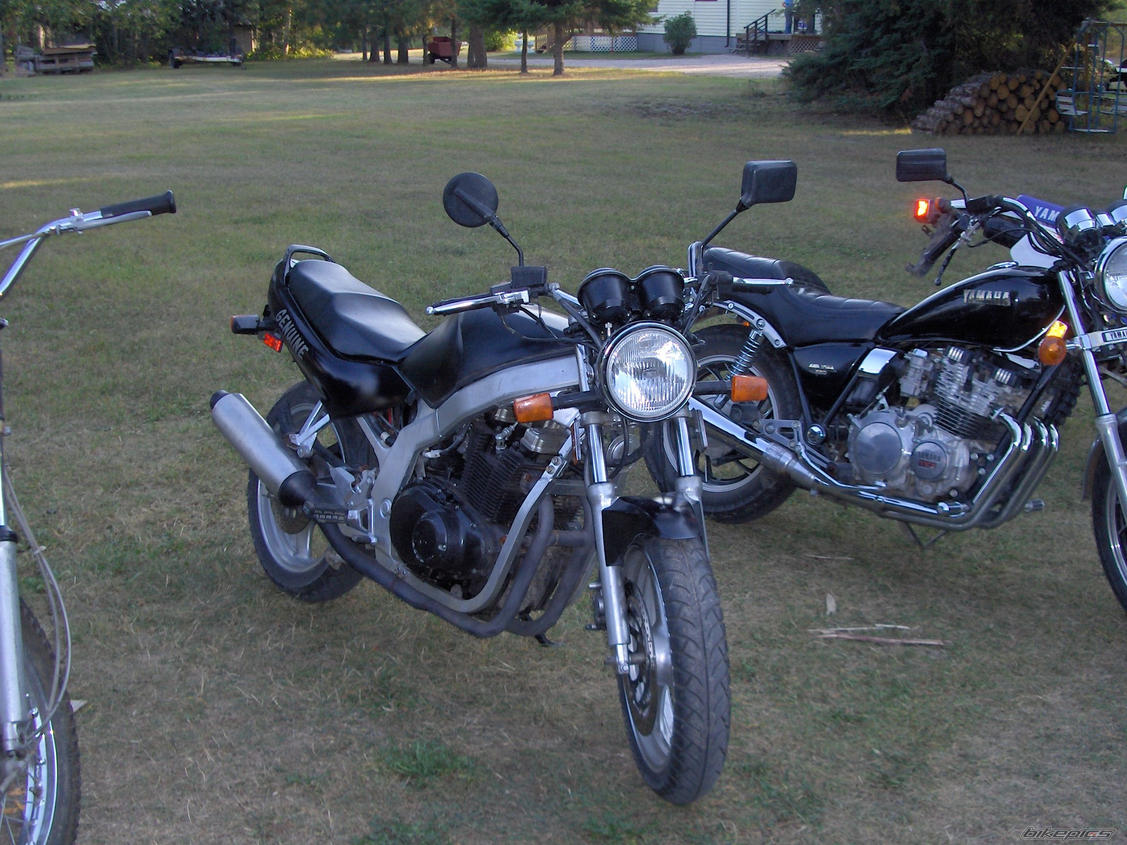Photo 1278757