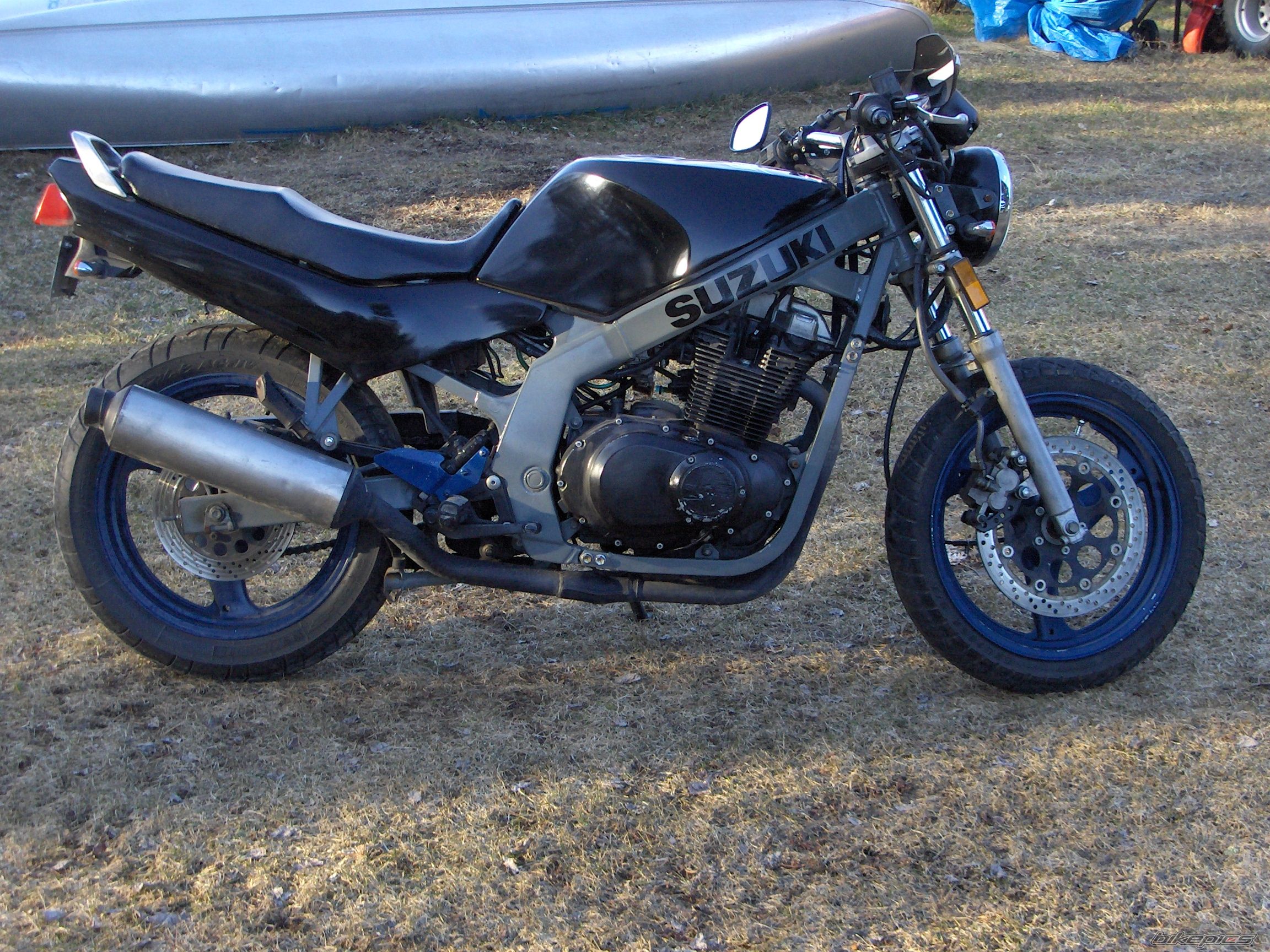 Photo 1278759
