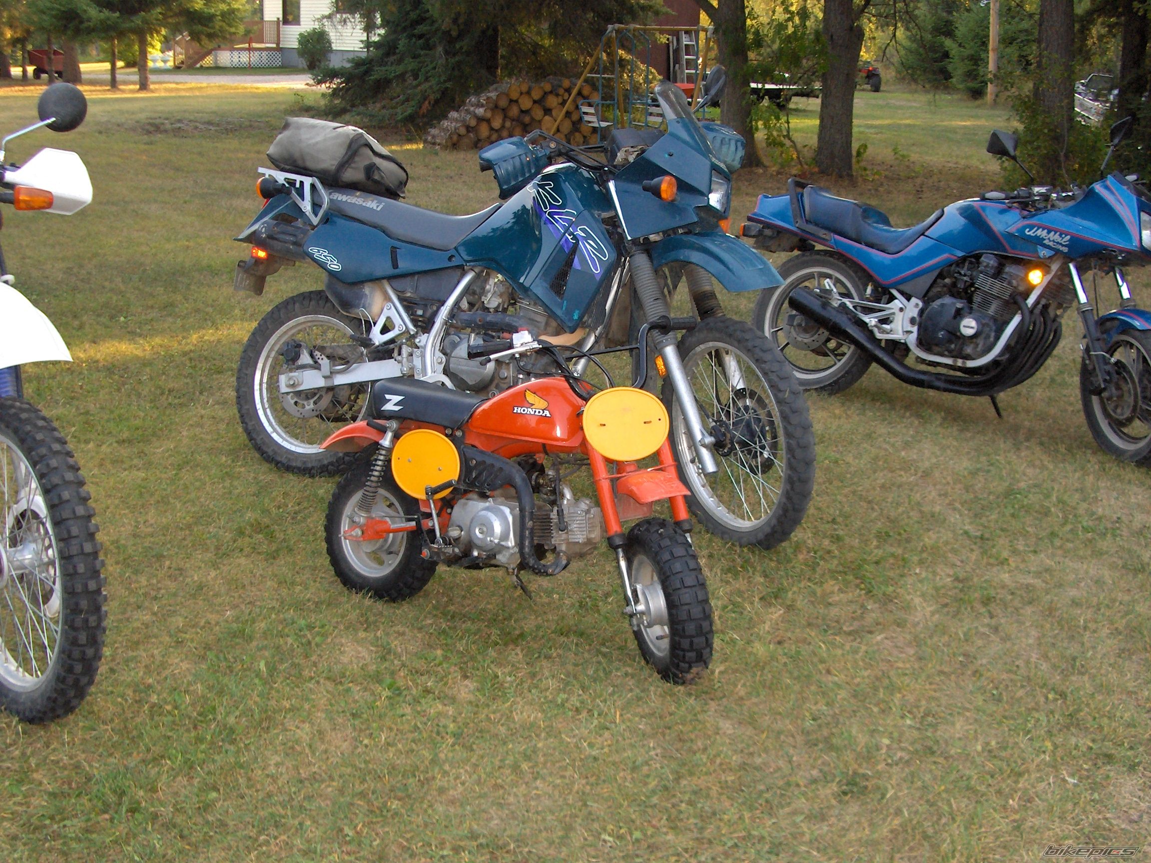 Photo 1278766