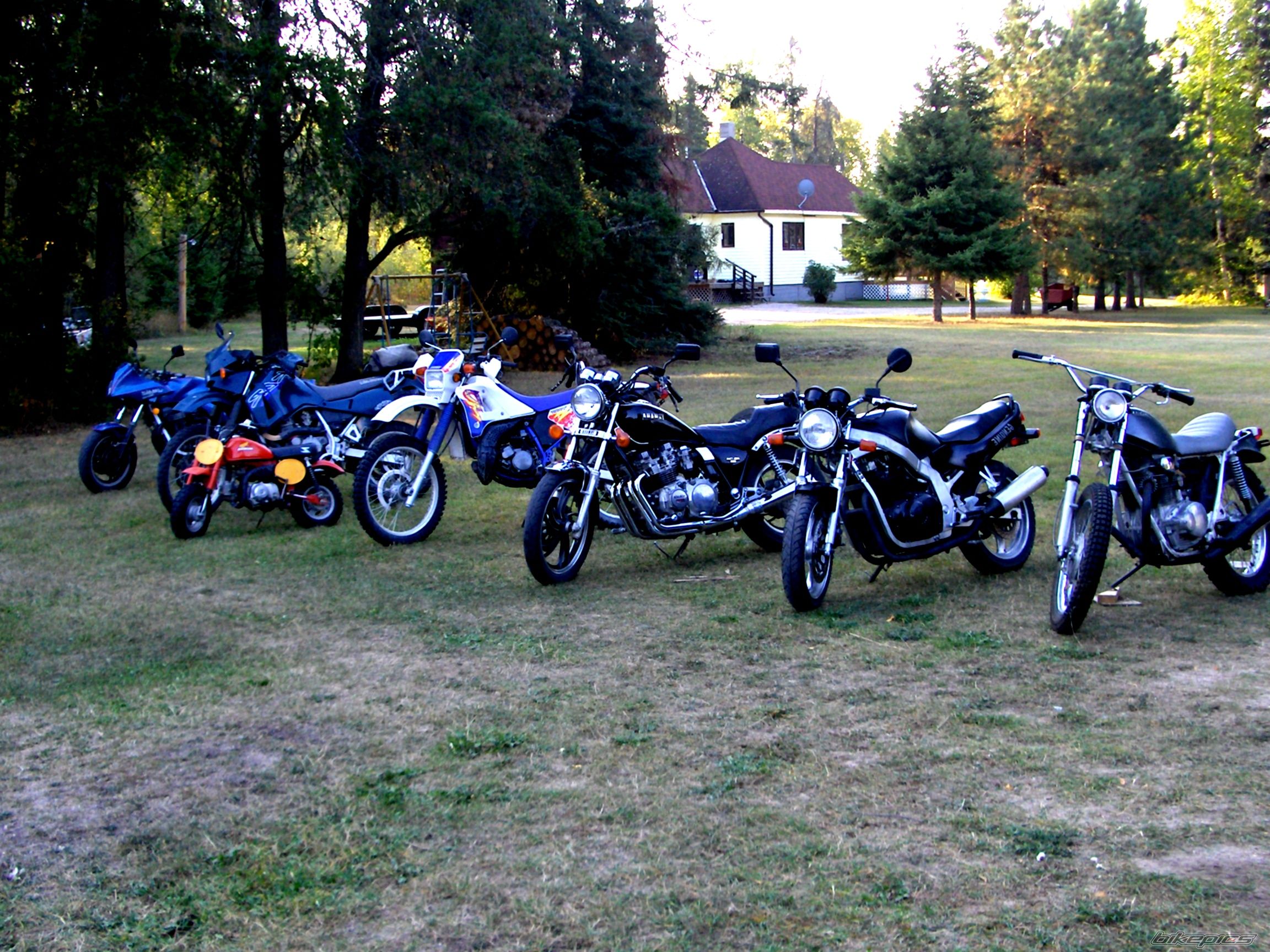 Photo 1278767