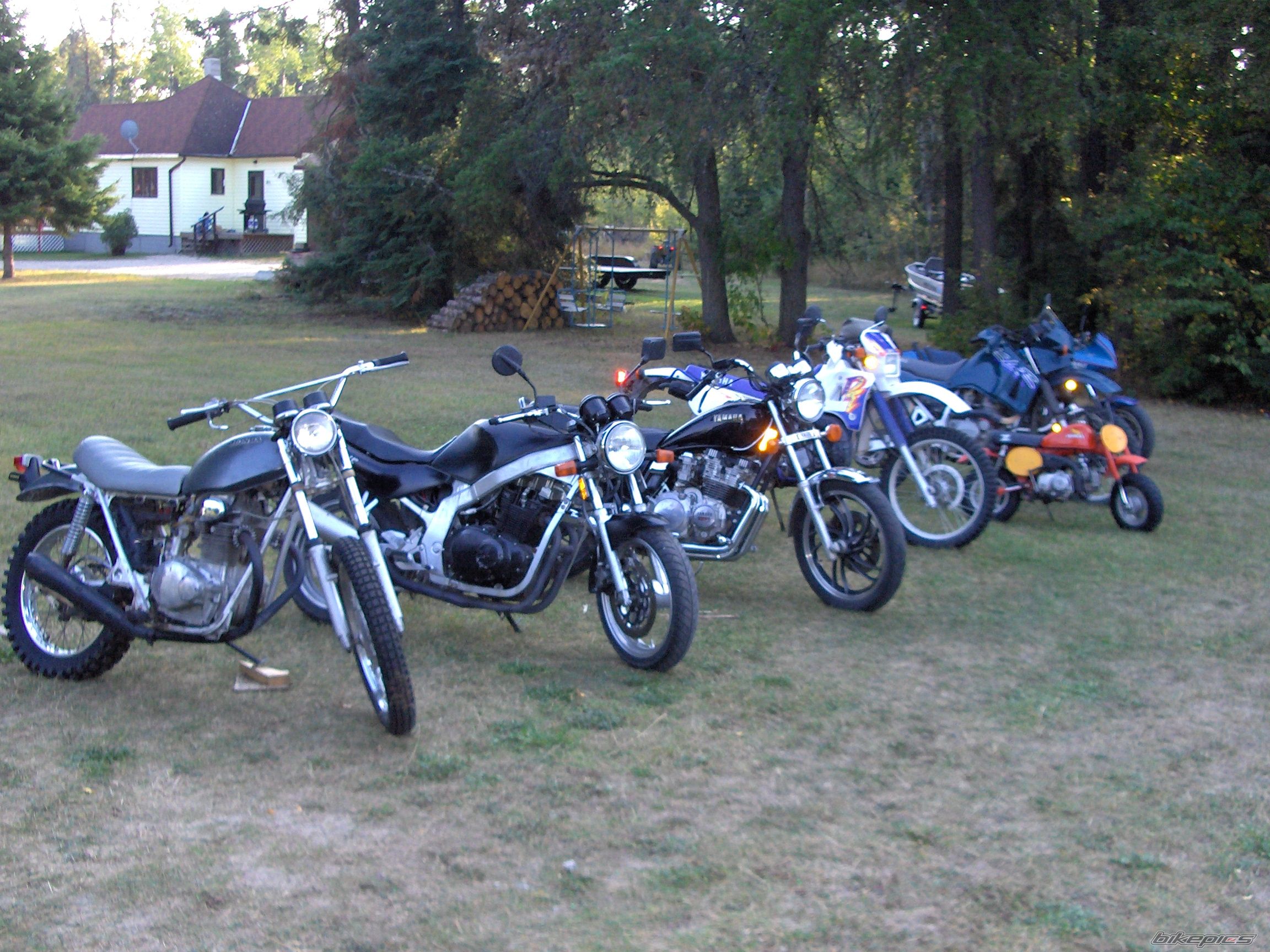 Photo 1278769