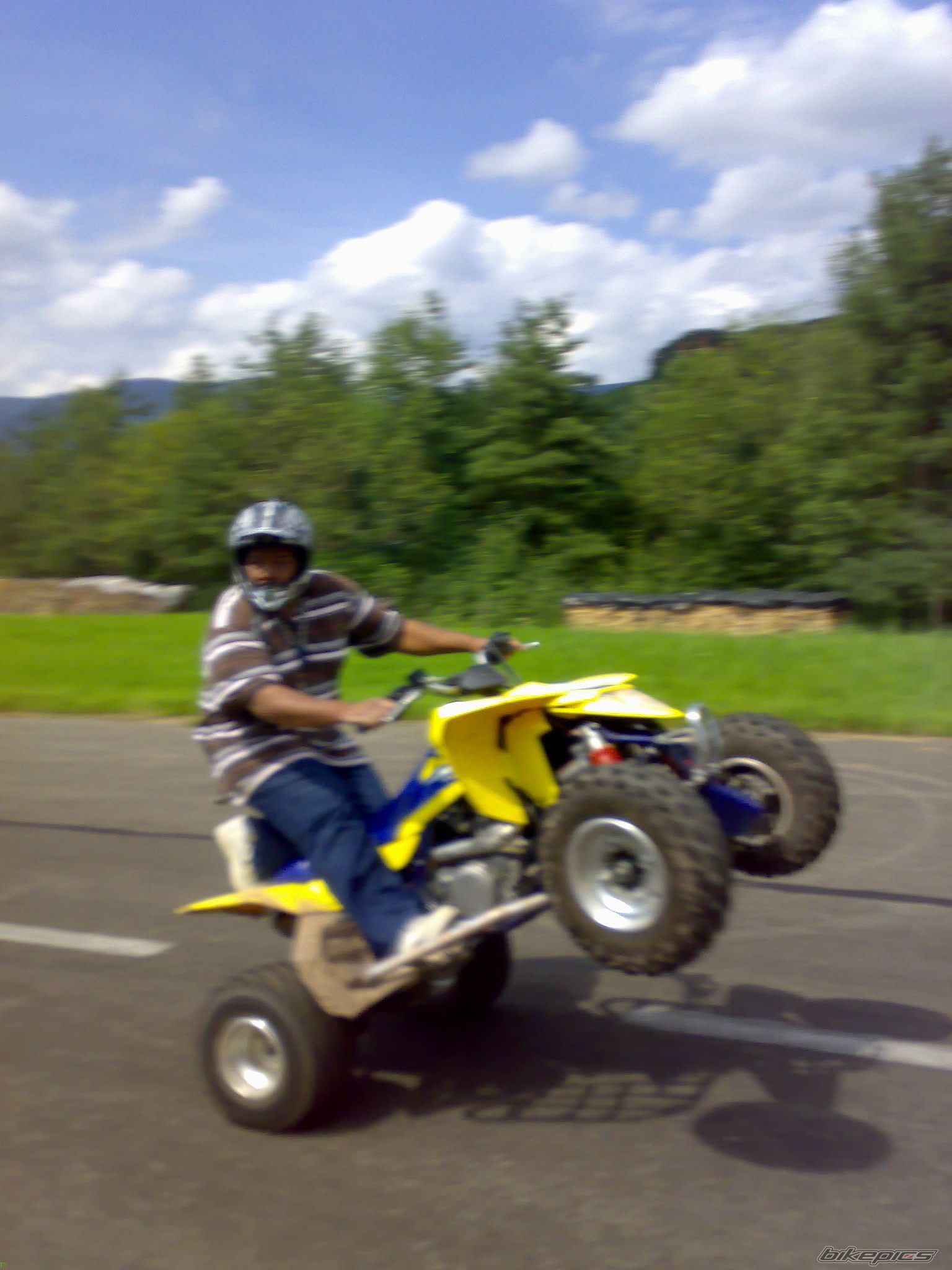 Photo 1279898