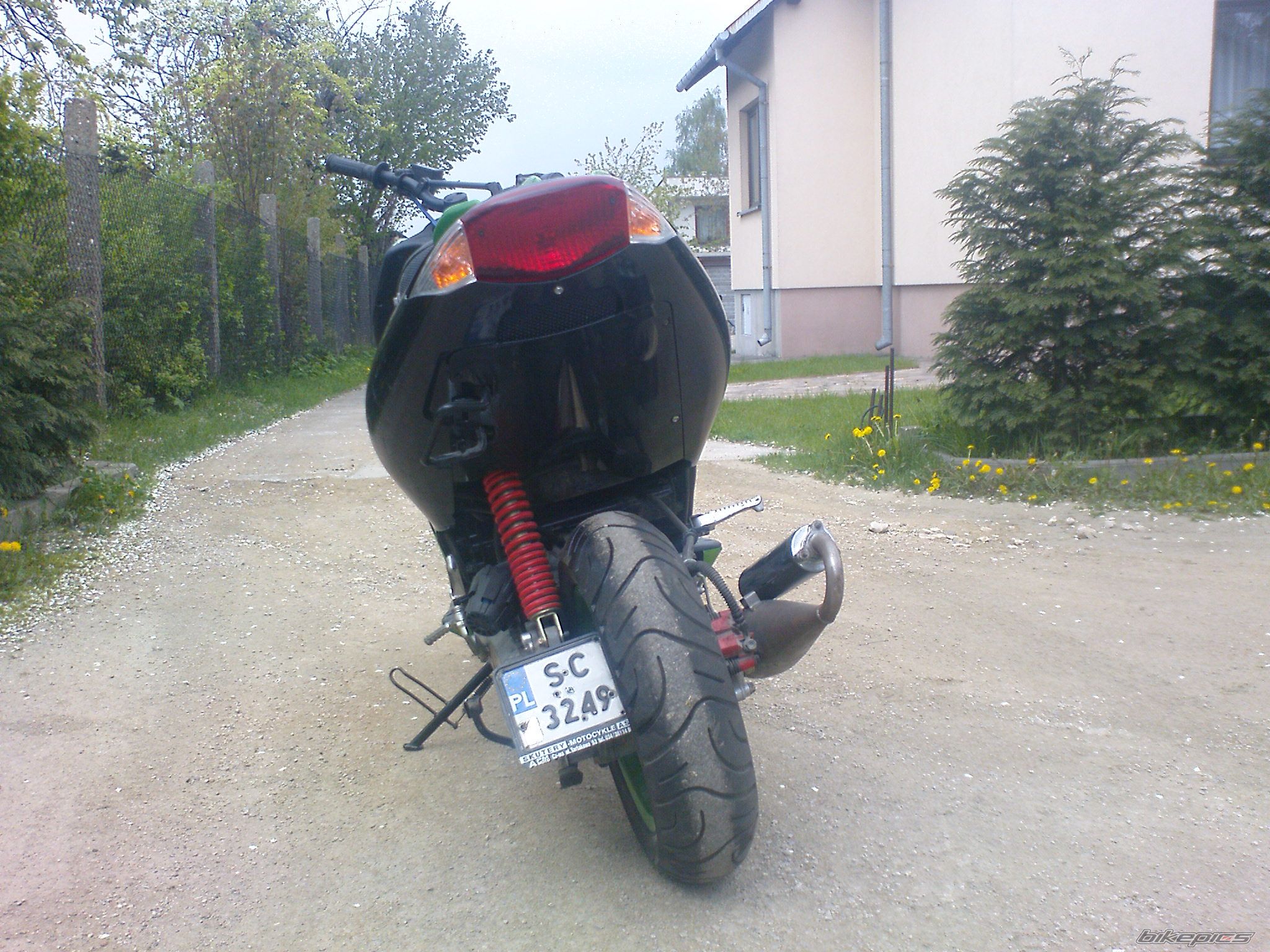 Photo 1281949