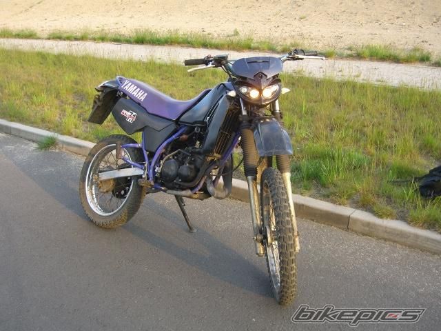 Photo 1284042